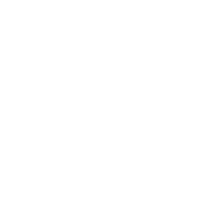BrainyZombie455's emblem