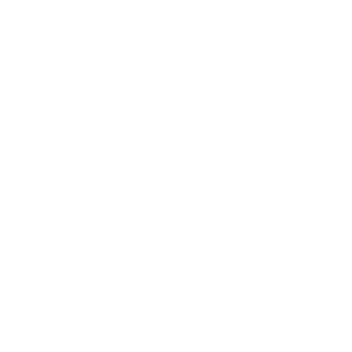 TheRealSl1de's emblem