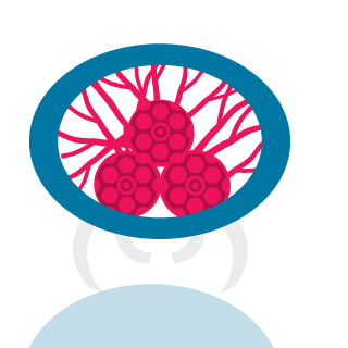 Metroidkiller375's emblem