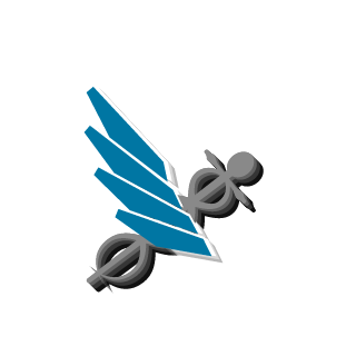 SaskaTF's emblem