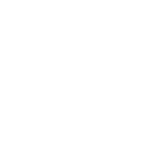 SnZ_4iter's emblem