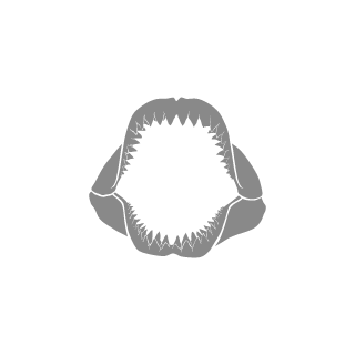 2f2832fdf8935d7b's emblem
