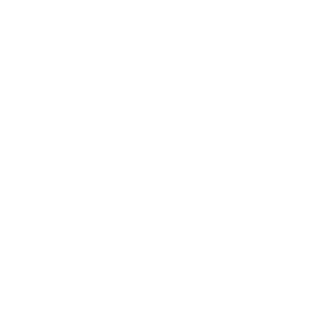 LocksPlay's emblem