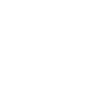 VTMTK_EnterChe's emblem