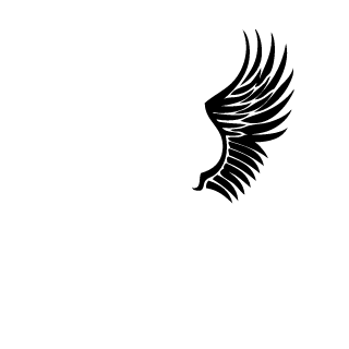 lNaaKl's emblem