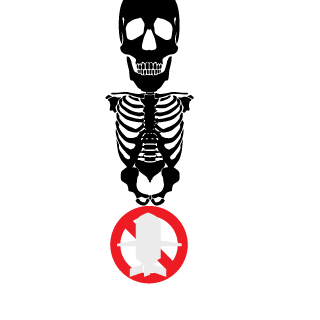 dragaosiberiano3's emblem