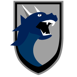 Thunder Dragons's emblem
