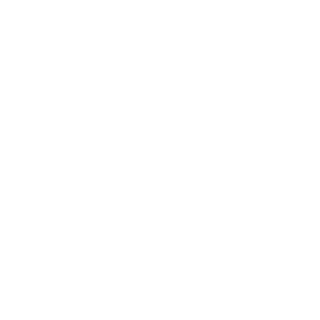 Graf-Heinrich-X1's emblem