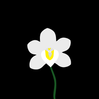 amesieIIa's emblem
