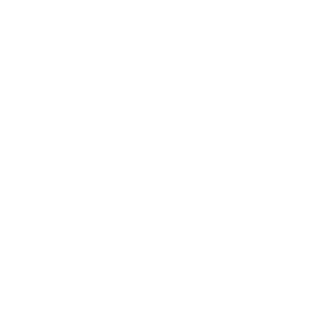 Timeescaper0118's emblem