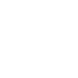 LilPaulinho007's emblem
