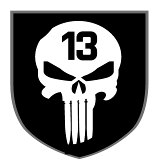 SkyFoxik's emblem
