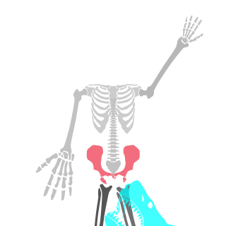 TeMaa-ls-'s emblem