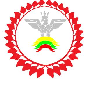combatsoul's emblem