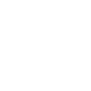 00BravoPaz's emblem