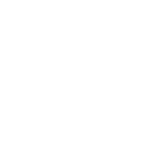 Putin_Huylo228's emblem