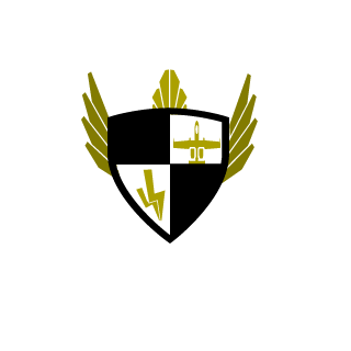 STEALTH1X's emblem