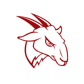 TurboXTurtle's emblem