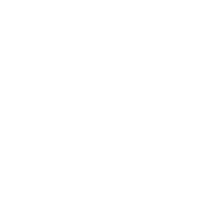 50239093's emblem