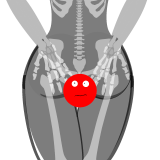 Cefgood's emblem
