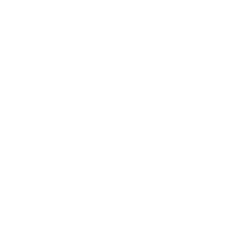 Dla12's emblem