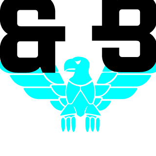 420pandasurf's emblem