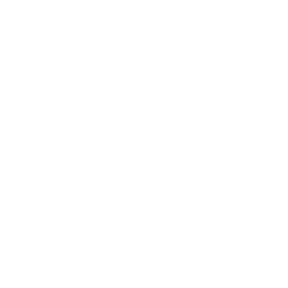 MichalBerserker's emblem