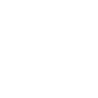 462cf418b6aadfe0's emblem