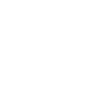 IGanzer's emblem