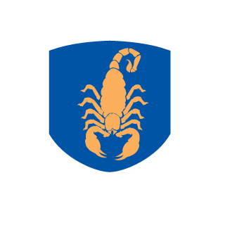 3nasa's emblem
