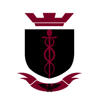 s2kfakeyou's emblem