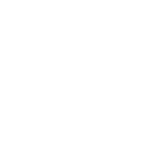 Aleksandwr9's emblem