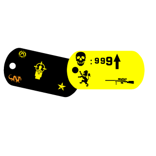 USguy100's emblem