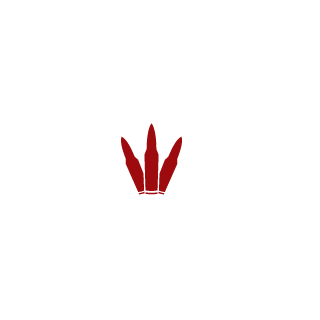 Bylo15's emblem