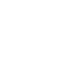 SrChronix's emblem