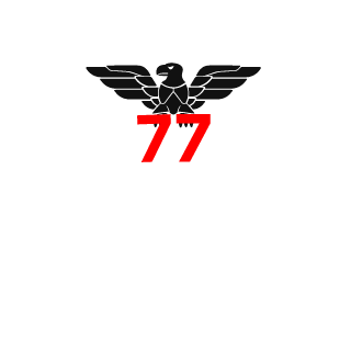 Elmelsiu2000's emblem