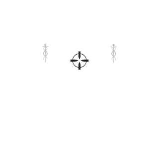 lorranbr55's emblem
