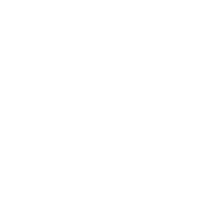 LeoOnPC7's emblem