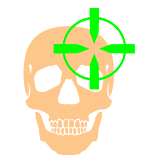 Skilbit's emblem