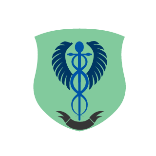 RayBk6503's emblem