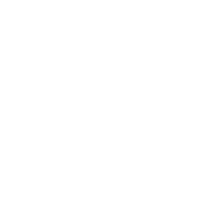 Bierday11's emblem