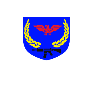 GSO1bmw's emblem