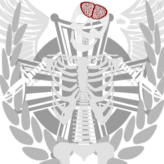 16-PiXeL-DuDe's emblem