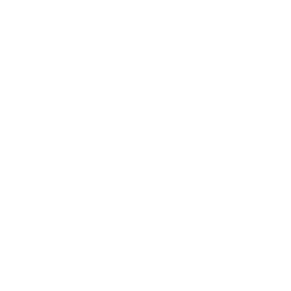 BAIHUYONGBANGDI's emblem