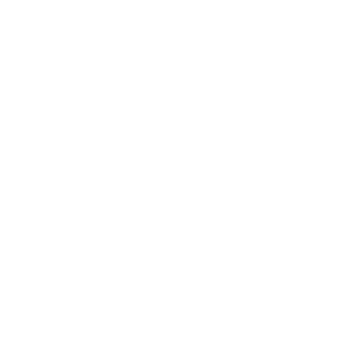 11mnn's emblem