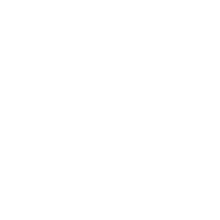 19huron91's emblem