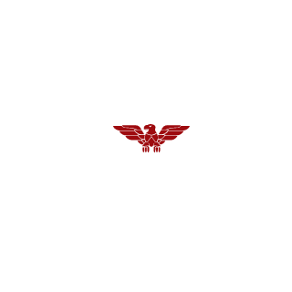 Lightdead69's emblem