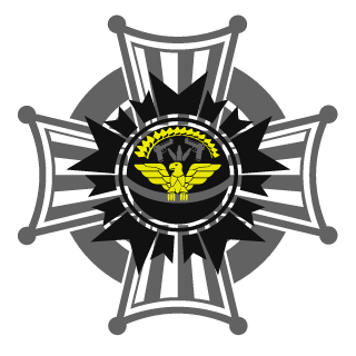 insane0118's emblem