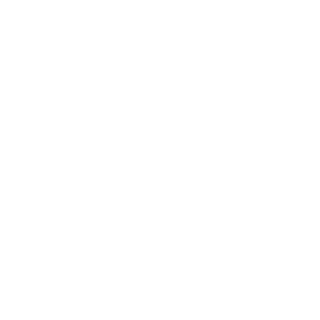 1ns0mnia's emblem