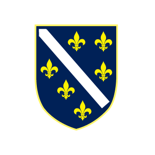 TRON-BiH's emblem